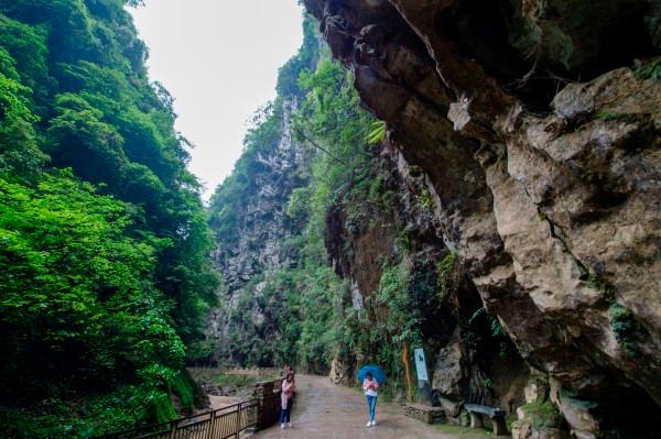 绯雨骑士团